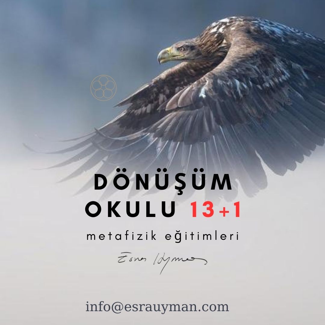 Dönüşüm Okulu 13+1 Online Temel Seviye Eğitimi